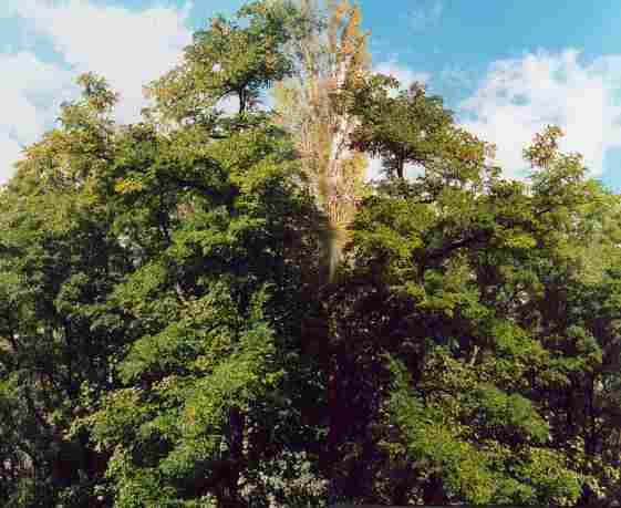 volkspark friedrichshain